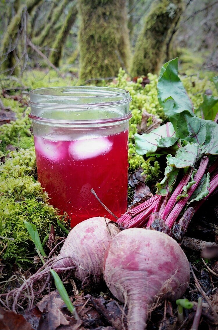 Beet Purple Dead Nettle Shrub
